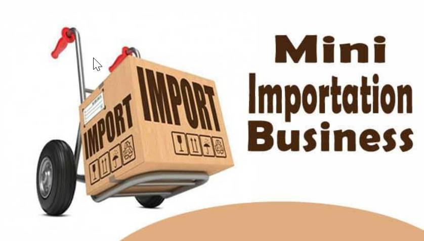 Mini Importation Business